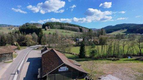 Rattenberg Bauernhöfe, Landwirtschaft, Rattenberg Forstwirtschaft