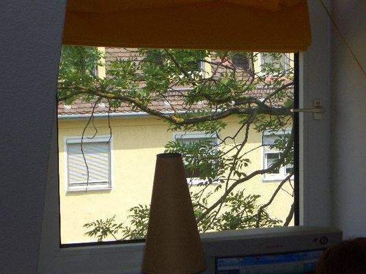 Blick aus dem Fenster