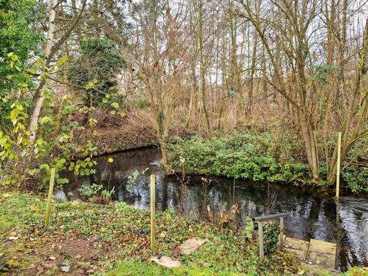 Zugang zum Mühlenteich am Ende des Grundstücks