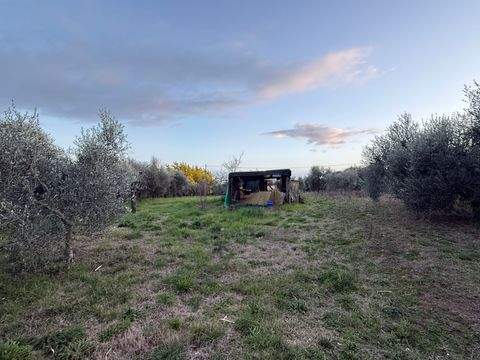 Follonica Grundstücke, Follonica Grundstück kaufen
