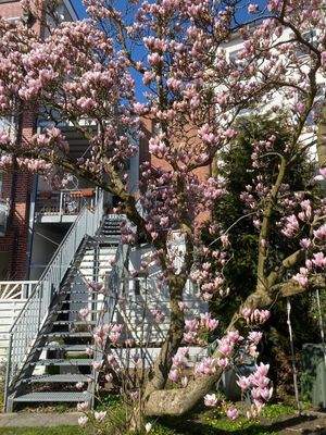 Rückseite mit Wärmeverbundsystem