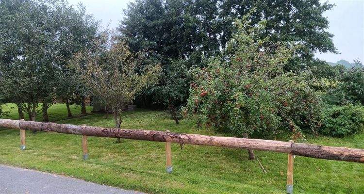 243 qm Gartenland mit Obstäumen