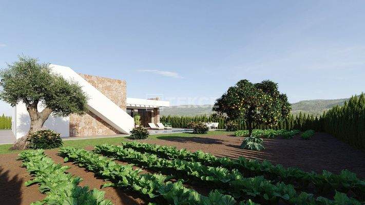 Villas with Private Pool in Hacienda del Alamo Golf & Resort in Murcia