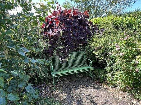 lauschiger Ruheplatz