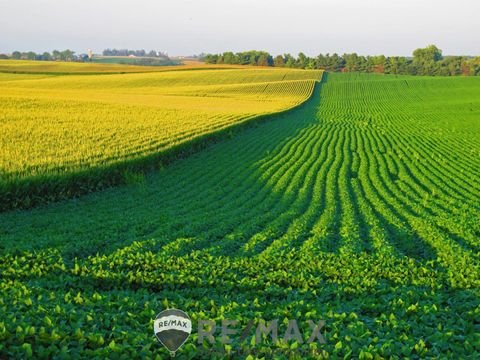 Hipples Bauernhöfe, Landwirtschaft, Hipples Forstwirtschaft