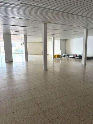 WhatsApp Image 2026-03-23 at 16.38.52