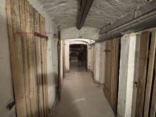 Immobilie in Leipzig / Lindenau zu vermieten_Keller