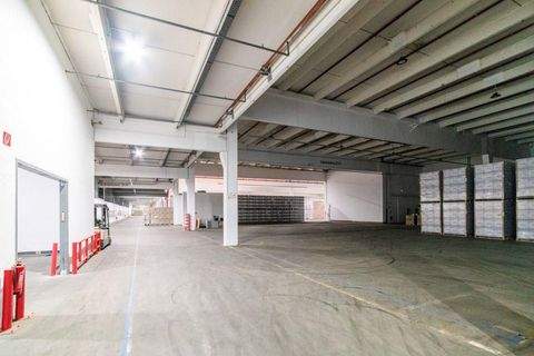 Mülheim an der Ruhr Halle, Mülheim an der Ruhr Hallenfläche