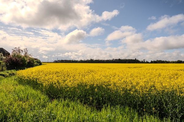 Sichtachse der Felder &quot;Die schmalen Enden&quot;