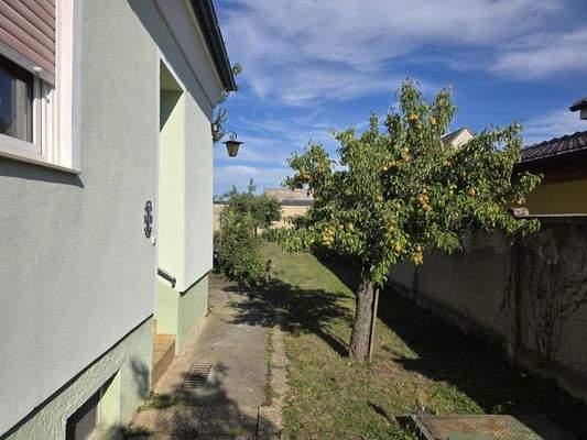 01_Aussenansicht_Haus4.jpg – Außenansicht mit Vorg