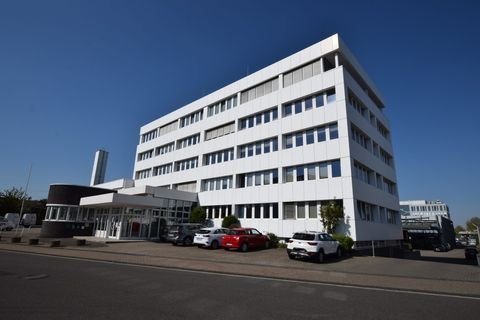 Neuss Halle, Neuss Hallenfläche