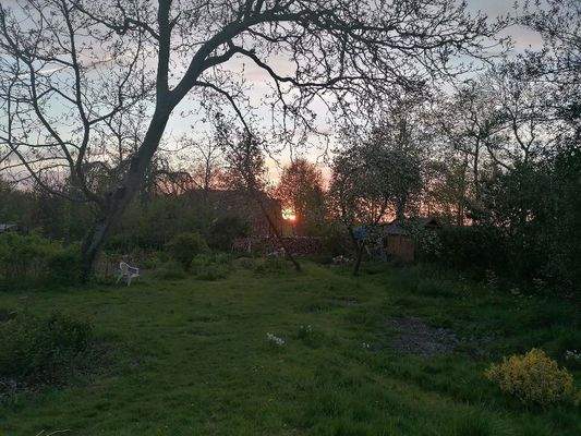 Blickrichtung zum Deich