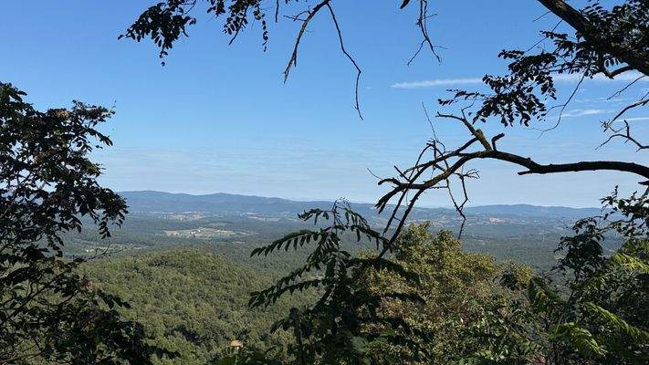 58E23F42-3239-4035-8C22-EC463D4C5162_1_201_a