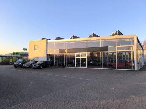 Bensheim Halle, Bensheim Hallenfläche