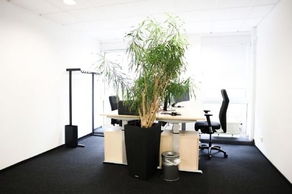Lichtdurchflutetes Büro 