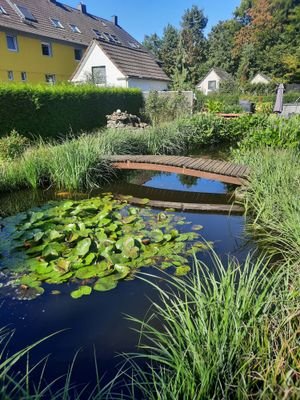 Teich - Ein Hauch von Urlaub!