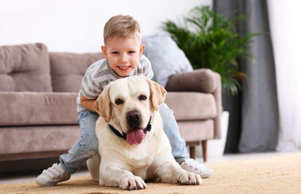 Endlich: Mein eigener Hund !