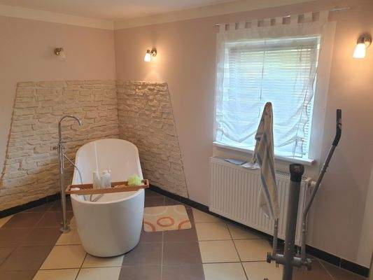 EG Modernes Tageslicht- Dusch- & Wanne