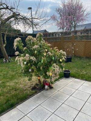 f0b2f6bc-b206-4a87-86ce-b4b24bf9fa2a