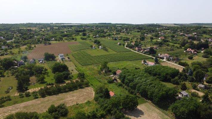 DJI_0160.JPG
