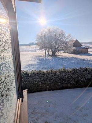 Ausblick vom Wintergarten