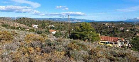 Petrothalassa Grundstücke, Petrothalassa Grundstück kaufen