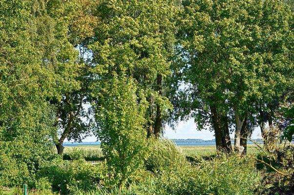 Wasserblick von der Terrasse