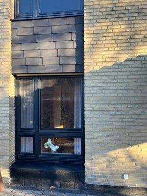 WhatsApp Image 2026-02-17 at 14.41.13 (2)