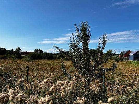 Truemper-Immobilien-Konarzewo-Grundstück00007