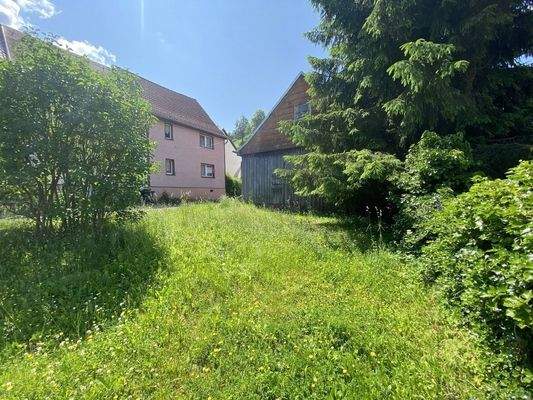 EFH mit Scheune & Wiese