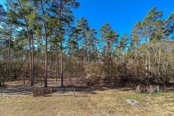 Ausblick Garten Richtung Wald