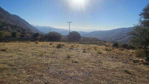 Krya Vrisi Bauernhöfe, Landwirtschaft, Krya Vrisi Forstwirtschaft