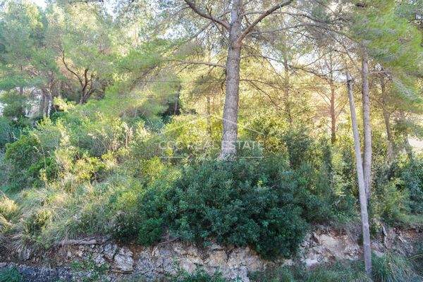 .... aus unterschiedlicher Perspektive