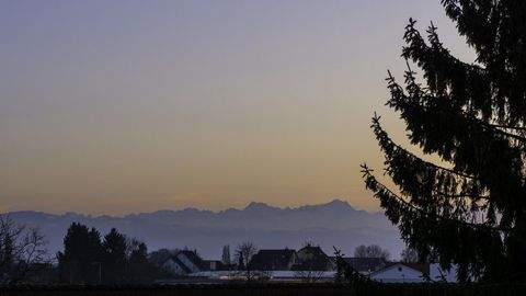 Langenargen Häuser, Langenargen Haus kaufen