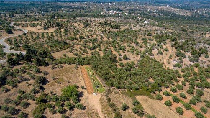 Kreta, Kefalas: NEUBAU! Gemütliche Villa unter den Olivenbäumen zu verkaufen