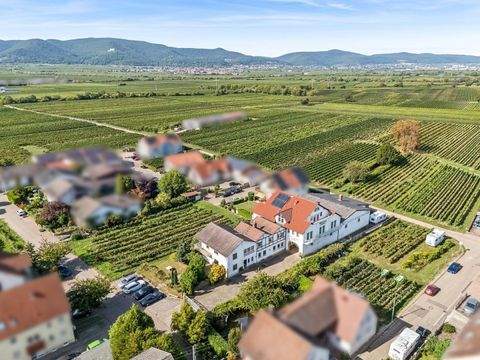 Kirrweiler (Pfalz) Häuser, Kirrweiler (Pfalz) Haus kaufen