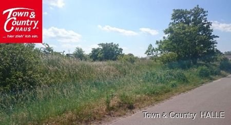 Halle (Saale) Grundstücke, Halle (Saale) Grundstück kaufen