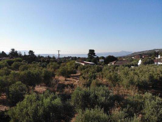 Kreta, Xirosterni: Grundstück in ruhiger Lage mit Berg- und Meerblick zu verkaufen