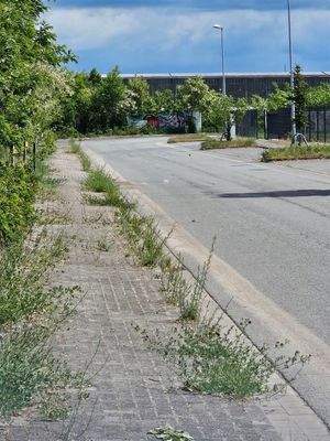 Straßenseite Sackgasse