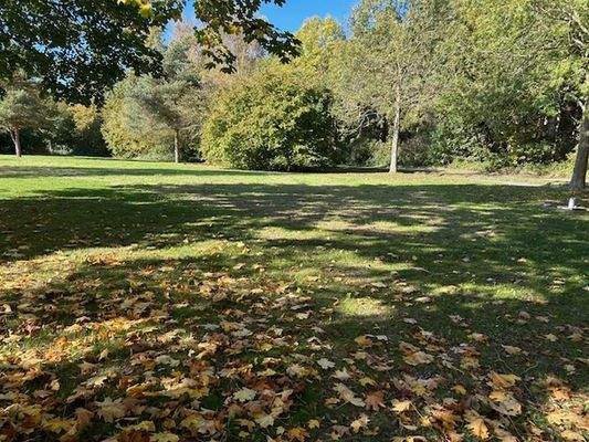 Die parkähnliche Außenanlage