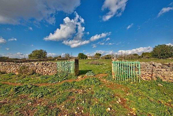 Rustikales Land zum Verkauf nahe Maria de la Salut auf Mallorca
