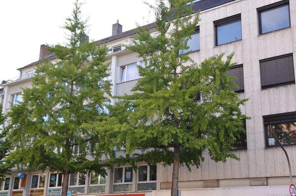 Liegenschaftsansicht