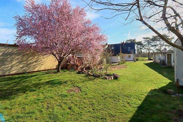 großzügiger Garten