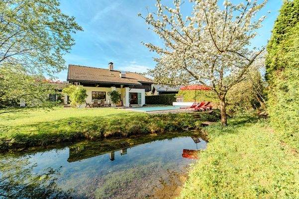 Der Garten mit altem Baumbestand und idyllischem Teich