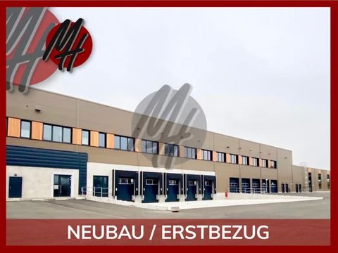 Schlangen Halle, Schlangen Hallenfläche