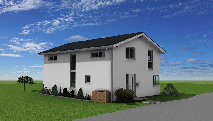 Straße_Planhaus-Quattro 12x8 KfW 40_3D.jpg