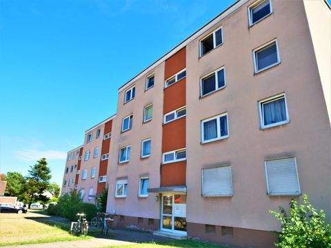 Frankenthal (Pfalz) Wohnungen, Frankenthal (Pfalz) Wohnung mieten