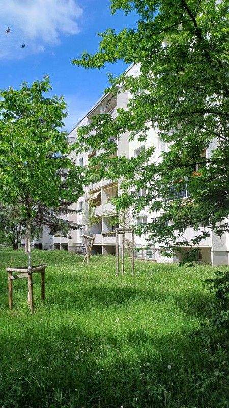 Dresden Wohnungen, Dresden Wohnung mieten