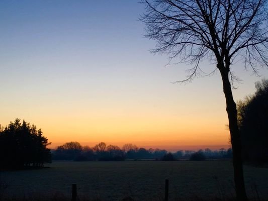 Sundowner auf dem Grundstück