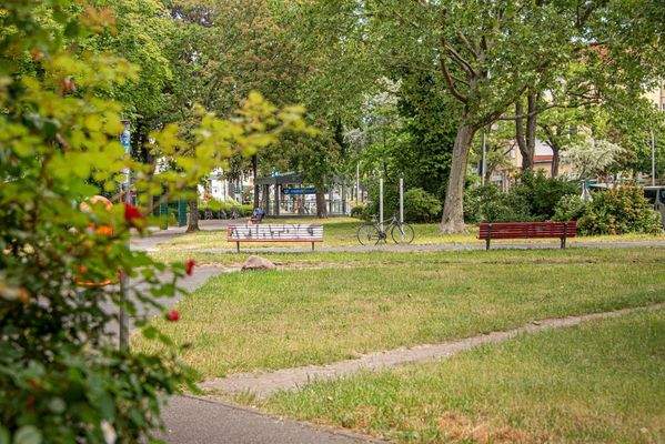 Friedrich Wilhelm Platz _3109